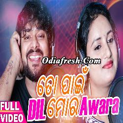 To Pain Dil Mora Awara (Sashank,Lopa) Odia Album Song